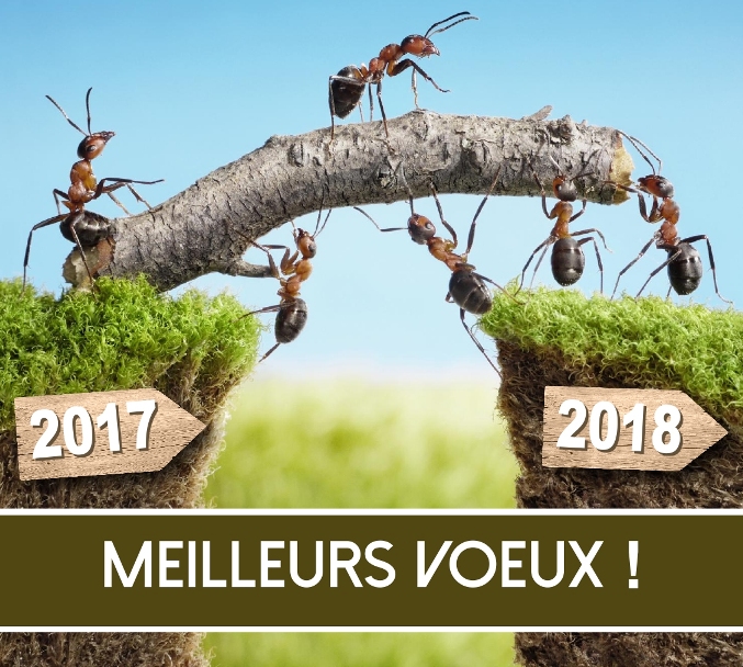 Meilleurs vœux 2018
