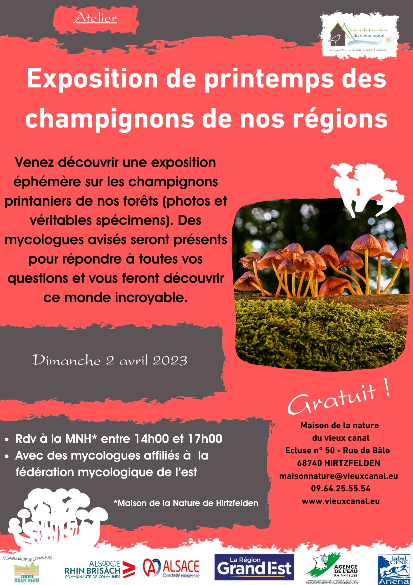 MNH - Exposition de printemps des champignons de nos régions