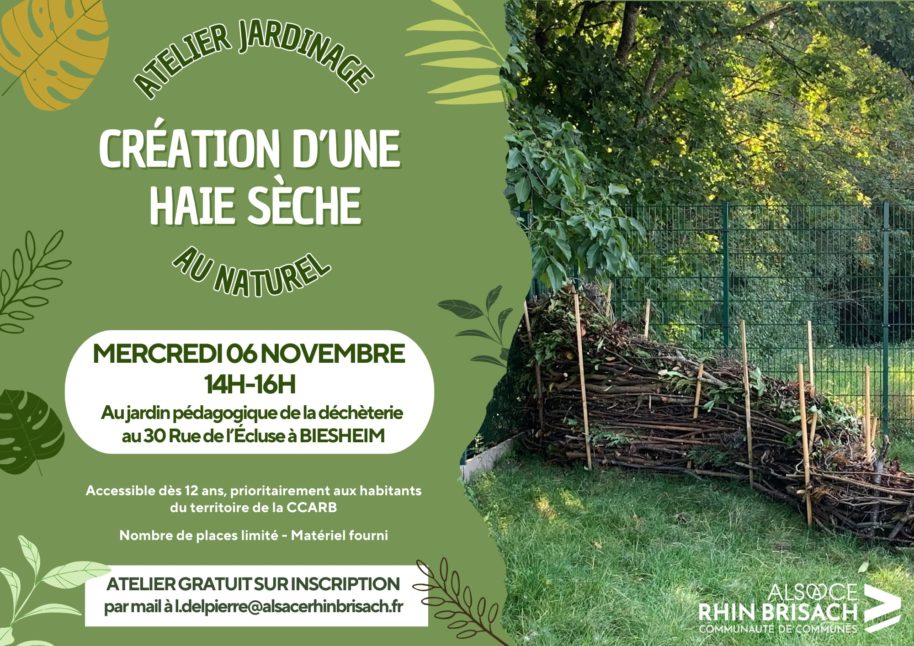 CCARB - Création haie sèche - 06.11.2024