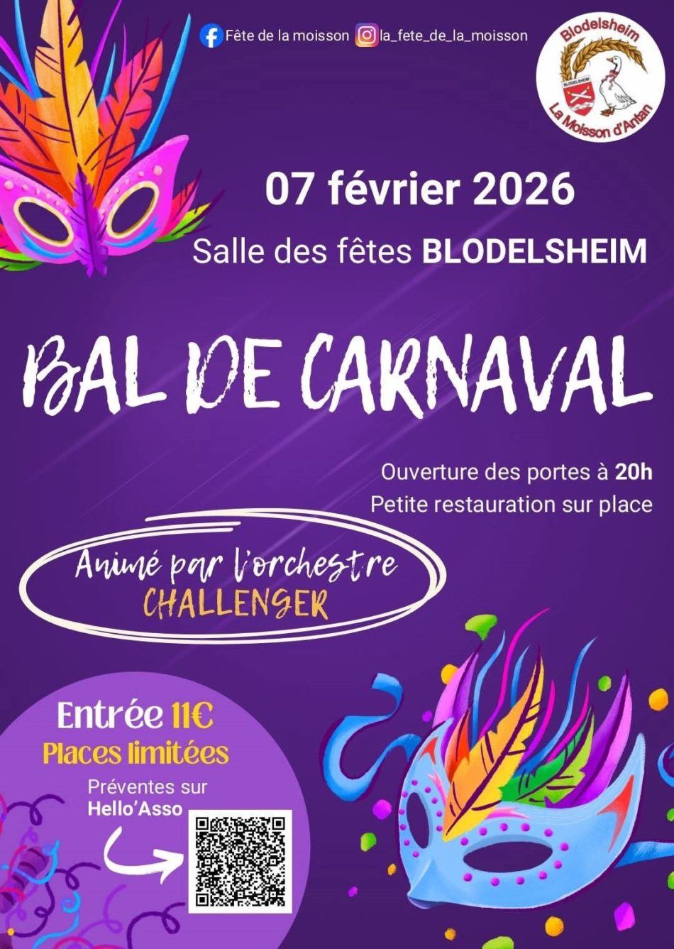Flyer bal de carnanval