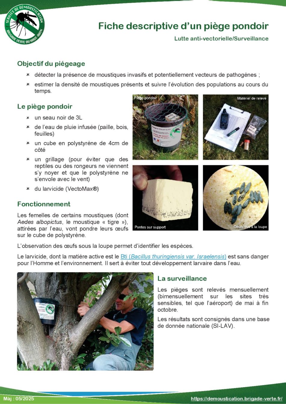 Frelon Asiatique - Fiche descriptive d'un piège pondoir