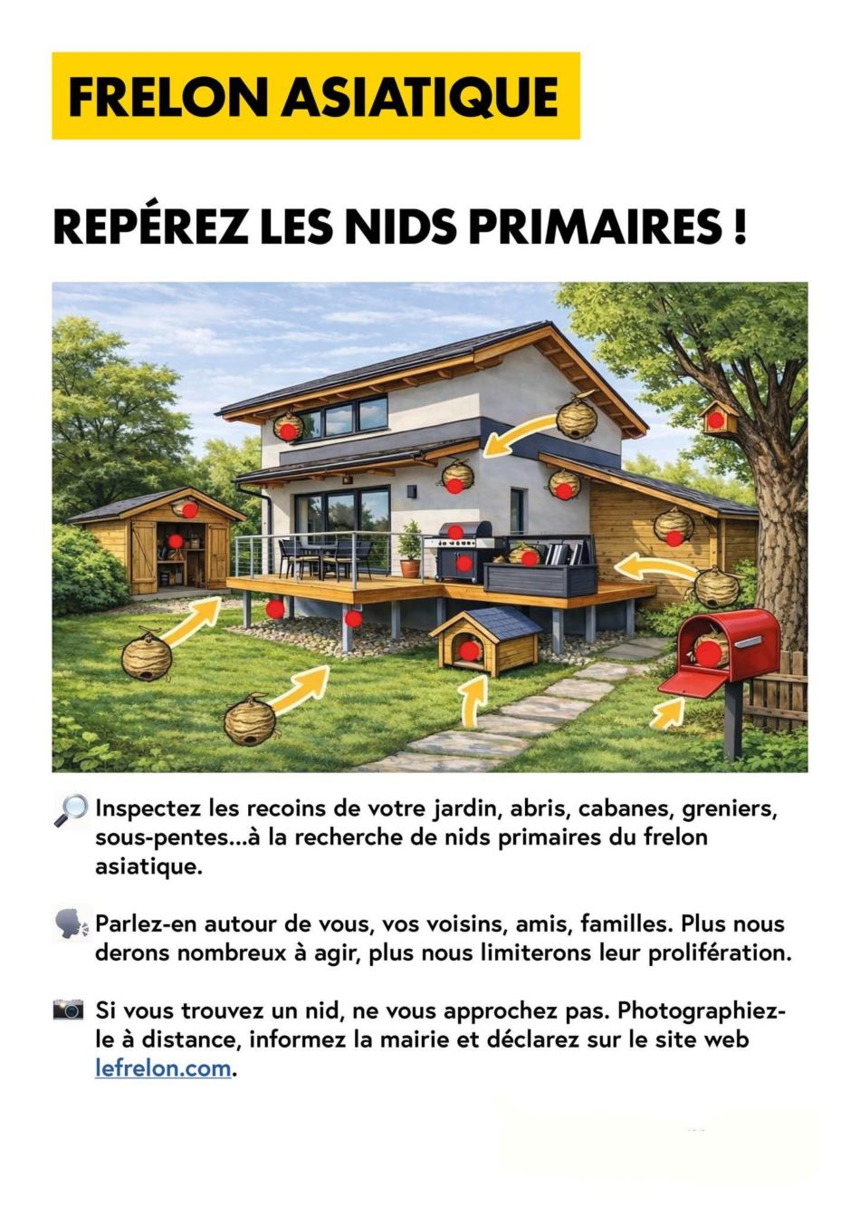 Frelon Asiatique - Repérage d'un nid