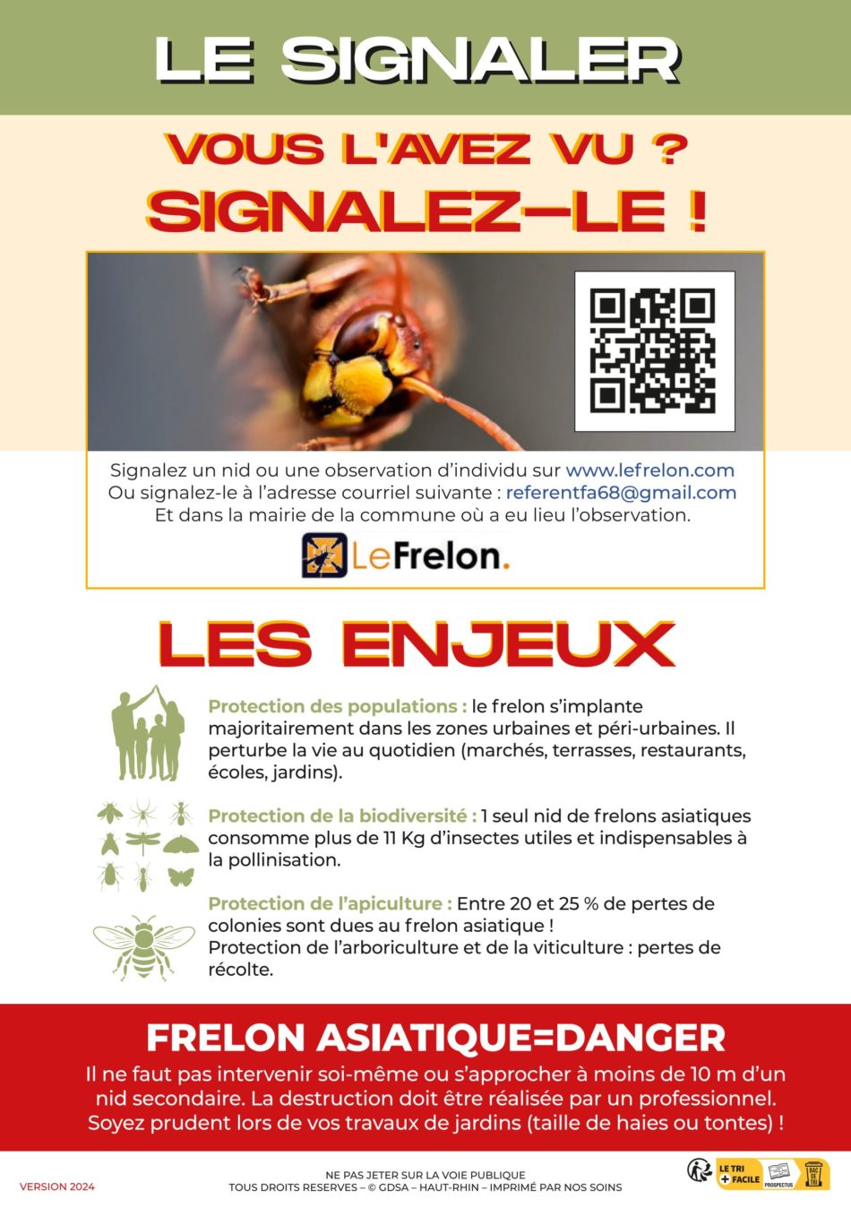 Frelon asiatique - Signalement
